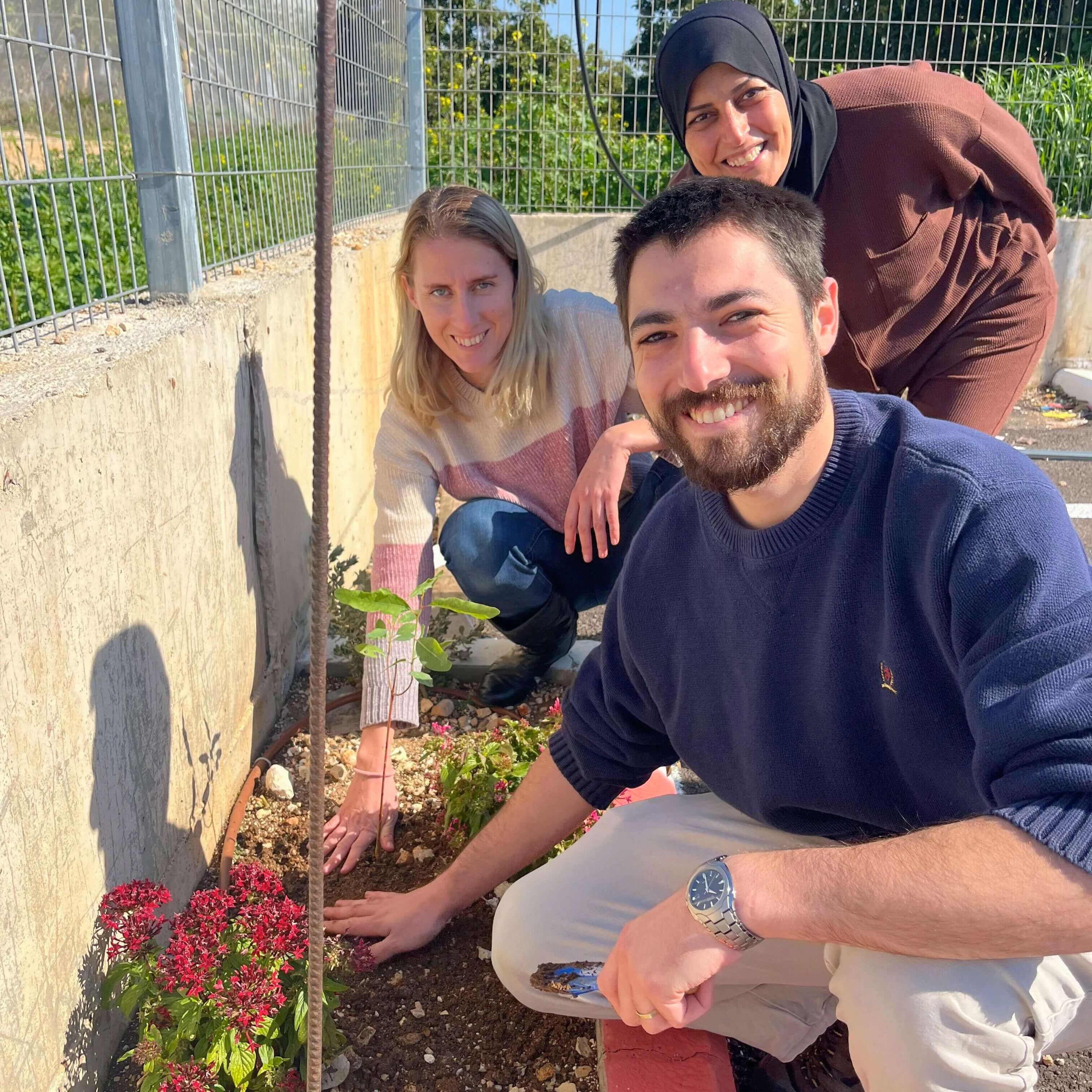 Planting trees