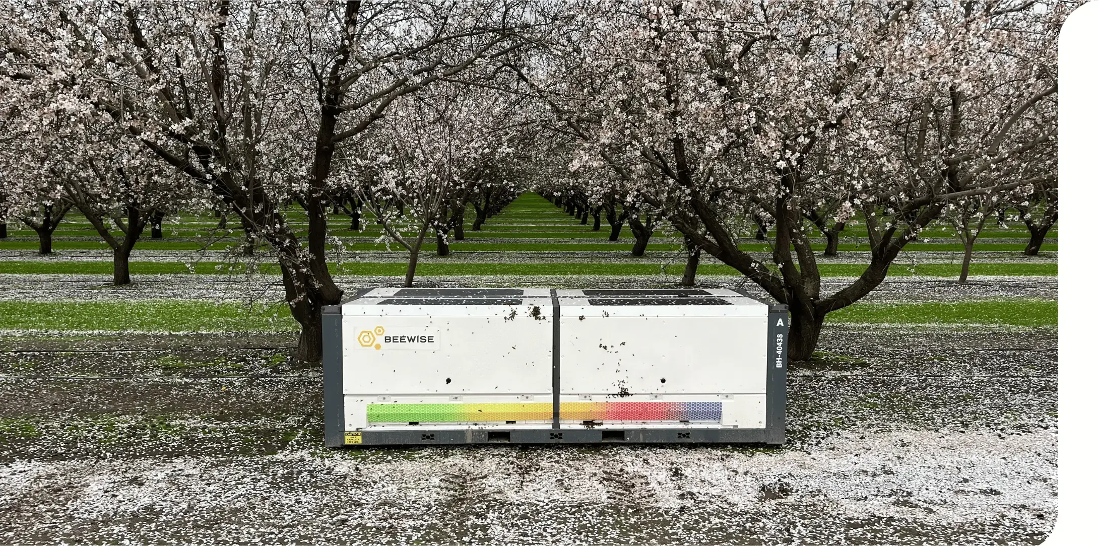 Using the BeeHome<span>™</span> results in <strong>70% lower bee colony loss </strong>and healthier hives