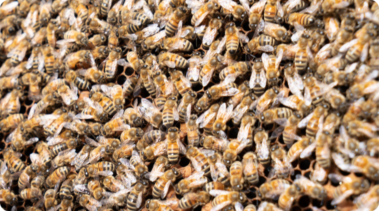 Untitled design (46)