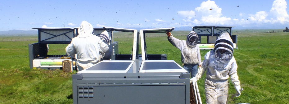 Beekeepers with open BeeHome