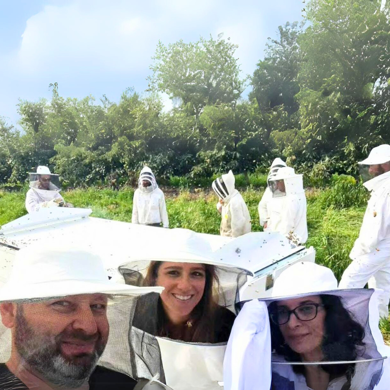 Untitled design (65)