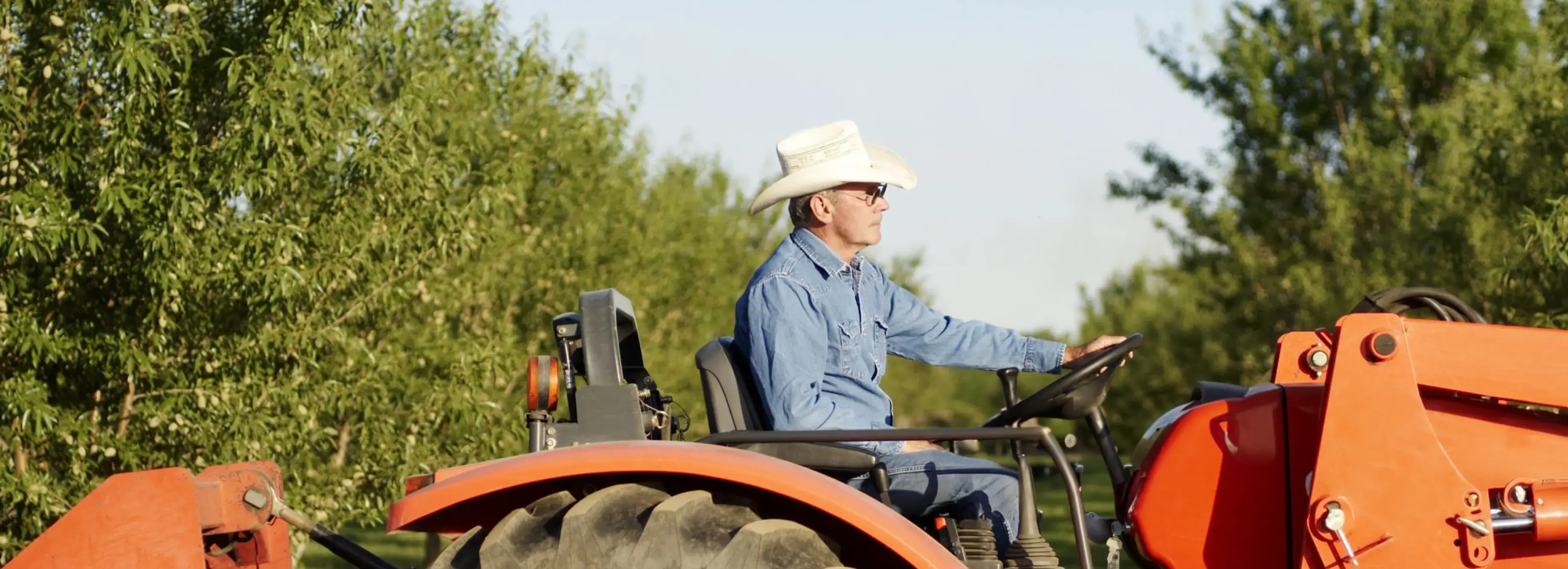 Almond grower on tractor
